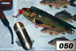 Umbra Krameri