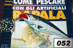 Salmone argentato