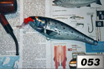 Salmone del Danubio