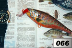 Persico sole