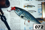 Ciprinodonte iberico maschio
