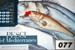 Merluzzo bianco