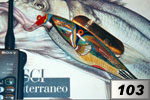 Balestra Picasso