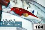 Pesce porco chiazzato