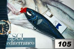Pesce flash