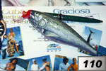 Tarpon