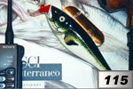 Merlano nero