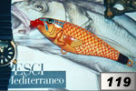 Pesce cardinale dorato