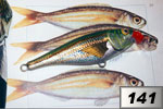 Boga